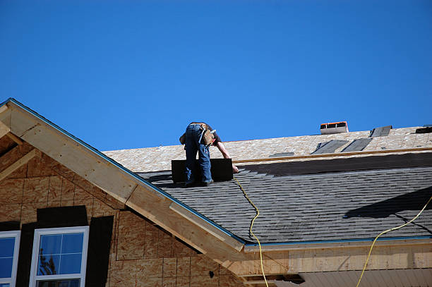 Best Storm Damage Roof Repair  in Forest Hills, TN