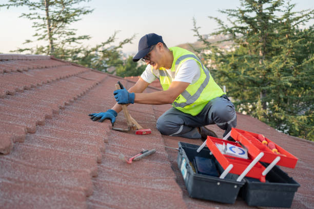 Best Best Roofing Contractors  in Forest Hills, TN