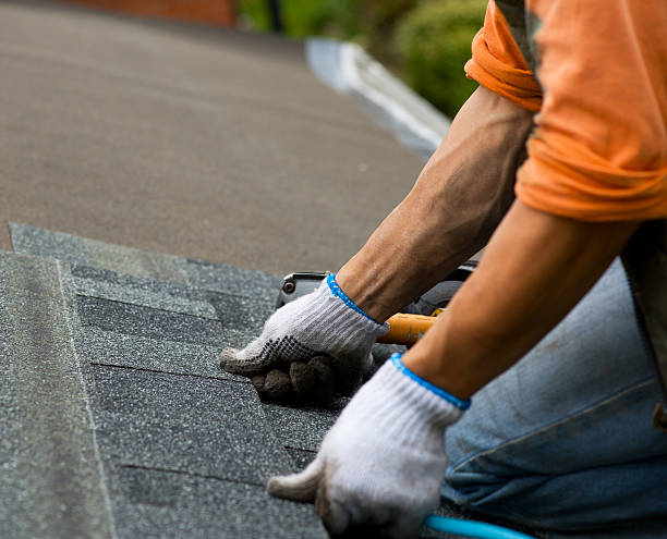 Roof Repair Estimates in Forest Hills, TN