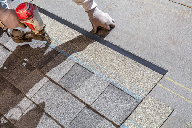 Best Gutter Installation and Roofing  in Forest Hills, TN